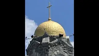 Saint Bernardine Catholic Church Sunday Mass Live Stream (1-28-26)
