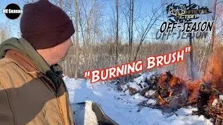 Whitetail Action Off-Season-Burning Brush From The New Plot