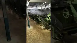 Black Tea Production in Darjeeling! At a tea factory.