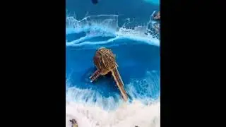 Mini Fairy Garden Beach Ocean