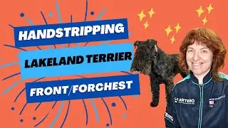 How to Hand Strip a Lakeland Terrier Forechest: A Step-by-Step Grooming Tutorial