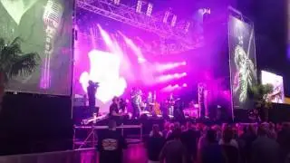 Sfeerbeelden / Hackensaw Boys / Ribs & Blues 2017