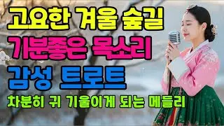 ❄️ 눈 내리던 골목 가슴에 머무는 목소리ㅣ계속 듣게 되는 감성 트로트 메들리ㅣ애절한 트로트ㅣ최신 트로트 모음