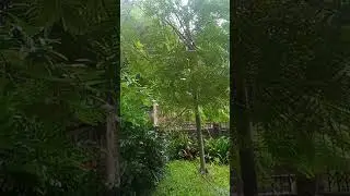 belajar mengaji...AR RAHMAN.