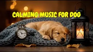 Calming Music for Dogs Left Alone at Night 🐶💤 | 12 HOURS of Gentle Tunes for Peaceful Sleep