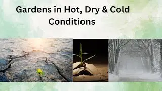 Gardens in Hot, Dry & Cold Conditions