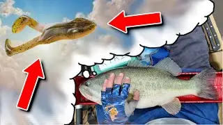 Bass DREAM about EATING this LURE | Best lure EVER.