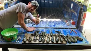 Ловля сома: улов, чистка и приготовление (самый эффективный способ поймать и почистить сома).