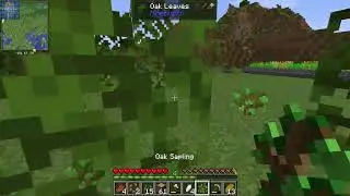 CraftopiaSMP | Let this madness begin