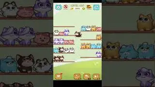 🏅CAT SORT PUZZLE🎧LVL 435🐈 Gameplay Walkthrough 🎮 #shorts #catsort #catsortpuzzle #walkthrough #funny
