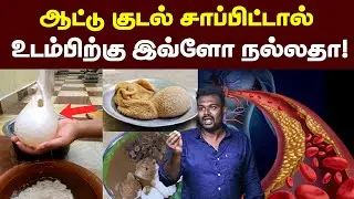 இட்லிக்கு தொட்டு சாப்பிடுங்க உடம்பில் பல அதிசியம் நடக்கும் 😍🔥🔥| Goat Intestine Benefits