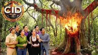 CID ​​के सामने लगा अचानक पेड़ में आग | CID | CID New Episode 2026