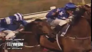 1997 NINE W W O S _ Peter Hayes