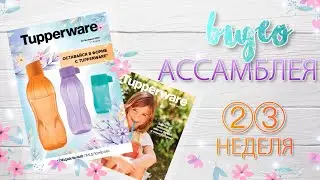 Видео-Ассамблея Tupperware 23 недели