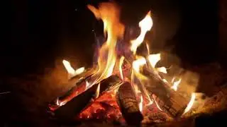 🔥 Deep Sleep Campfire Sounds | Cozy Fire Crackling (2 Hours)