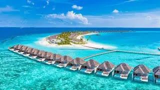 5 Fun facts about world 2023 #funfacts #worldfacts #nowyouknowit #dailyfacts #dailydose #factsworld