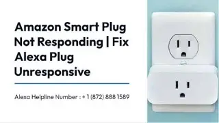 Amazon Smart Plug Not Responding | Fix Alexa Plugs Unresponsive