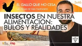 Insectos en nuestra alimentación: Bulos y realidades (RNE) - Programa 3x46