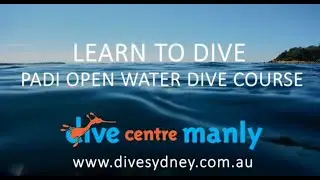 Learn to Dive: PADI Open Water Course