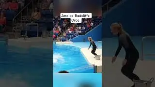Jessica Radcliffe Orca accident part 11 #dolphin #dolphinshow #jessicaradcliffe #orca