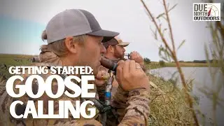 Getting Started: Goose Calling