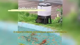 Automatic Outdoor Fish Feeder for Pond