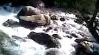 TONS RIVER