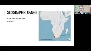 Conveying Bird Conservation Efforts from South Africa to America