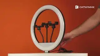 Обзор кольцевого осветителя Rekam RL-36 LED Kit | Ситилинк