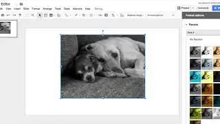 Editing Photos in Google Slides