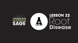 Root Disease - Lesson 22