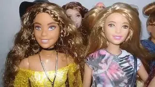 Barbie Curvy Collection, Fashionistas e Profiss&otilde;es, Mattel [My Collection]