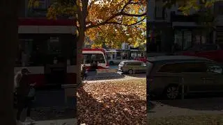 Autumn in Toronto 2024