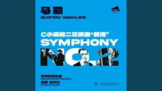 Symphony No.2 in C Minor, GMW 30 