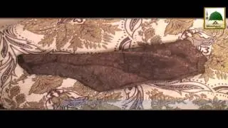 Ziyarat e Muqamat - Nalain Shareef (1)
