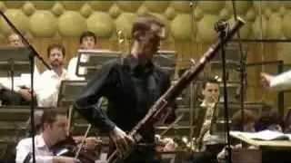 Bassoon  