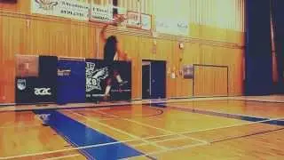 Scorpion Dunk 1.0