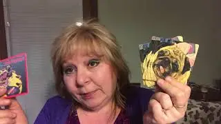 Pugs and kisses launch