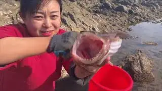 Deep-Sea Stingray's Mouth Is Big Enough To Swallow A Human Head