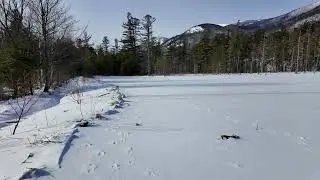 Breathtaking Winter Beaver Dam | Snow & Ice 4K