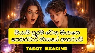 ඔයාම පුදුම වෙන ඔයාගෙ පෙබරවාරි මාසයේ අනාවැකි | Tarot Reading Sinhala 