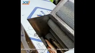 small fish cleaning machine
