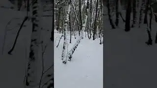 Trail running on fresh snow