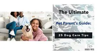 The Ultimate Pet Parent's Guide: 25 Dog Care Tips
