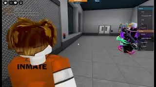 playing roblox prison life
