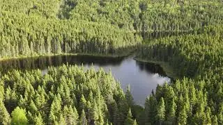 Mavic Air 2 At Burnt Berry ,June 22, 2022, Wednesday