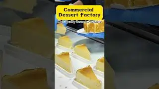 #dessertfactory #bakerycake #cakefactory #creamcheesefilling #bakeryitems #bakeryproducts #cake