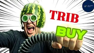 TRIB Co Ltd Stock Breaking News Today | TRIB Stock Price Prediction