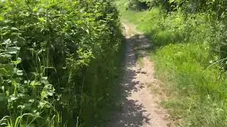 Hiking to the Devil&rsquo;s Pulpit | Gloucestershire&rsquo;s Hidden Gem with Epic Views of Tintern Abbey!