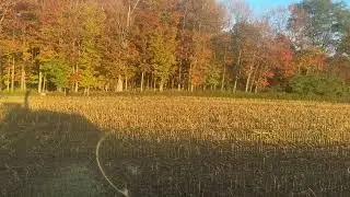 Chopping with both choppers